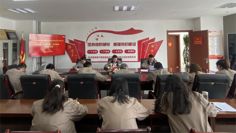 以案促改轉作風 堅守底線樹新風   &mdash;&mdash;青海物產朝陽物流開發投資有限公司支部委員會開展&ldquo;以案促改&rdquo;作風建設專項大討論