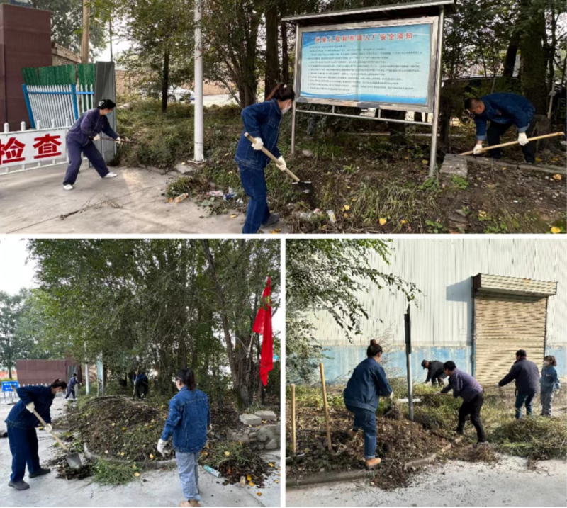 公司兩級黨組織 團支部聯合行動 組織開展&ldquo;清除雜草 美化環境&rdquo; 主題黨日 團日活動